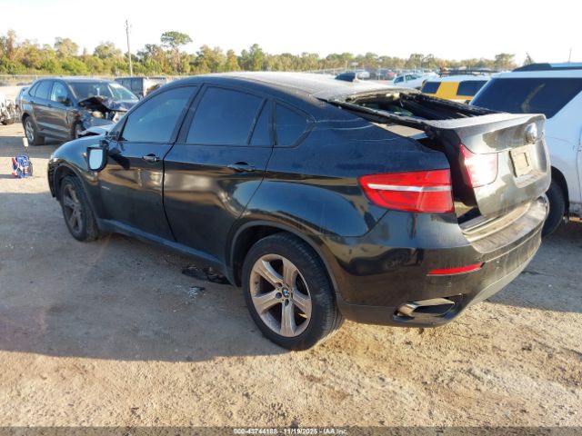 2013 BMW X6 5UXFG8C55DL591652 Photo 2