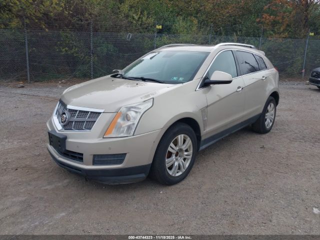 2010 CADILLAC SRX 3GYFNAEY3AS643978 Photo 1