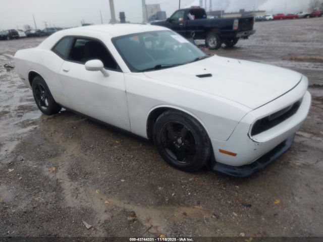 2013 DODGE CHALLENGER 2C3CDYAG5DH646054