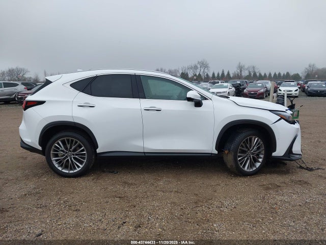 2T2HGCEZ0TC102086 Lexus Nx Nx 350 Luxury