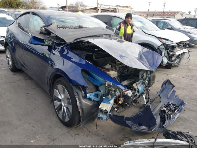 2021 TESLA MODEL Y 5YJYGDEE1MF218269