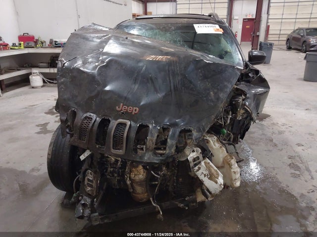1C4PJMCS7GW285299 Jeep Cherokee 75th Anniversary