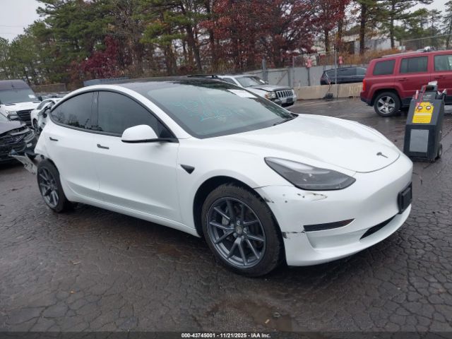 2023 TESLA MODEL 3 5YJ3E1EA2PF555646