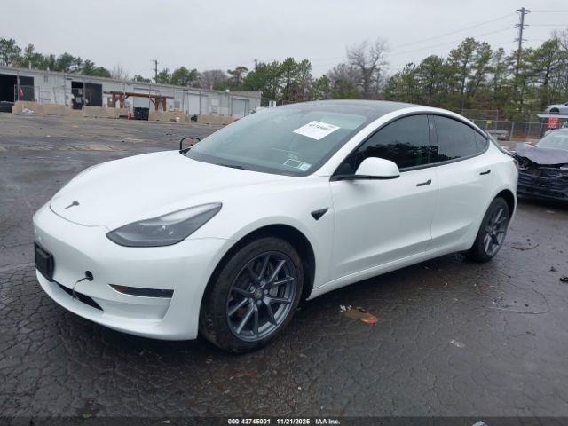 2023 TESLA MODEL 3 5YJ3E1EA2PF555646 Photo 1