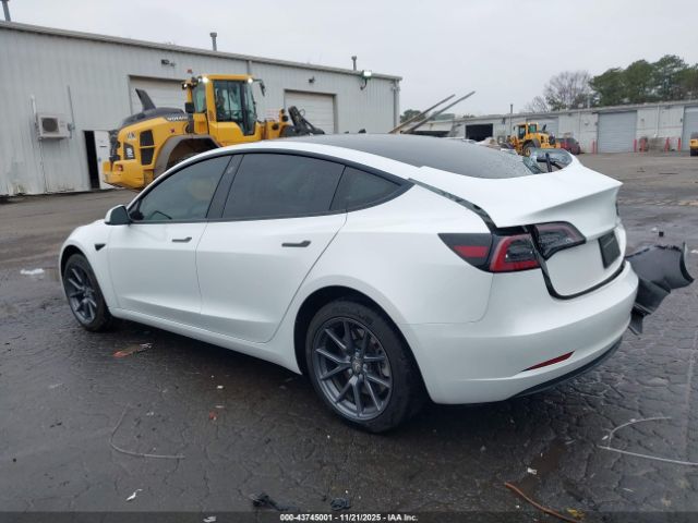 2023 TESLA MODEL 3 5YJ3E1EA2PF555646 Photo 2