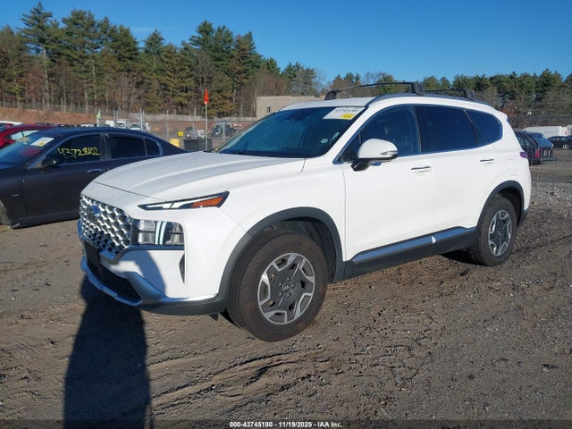 KM8S2DA14MU005827 Hyundai Santa Fe Hybrid Blue