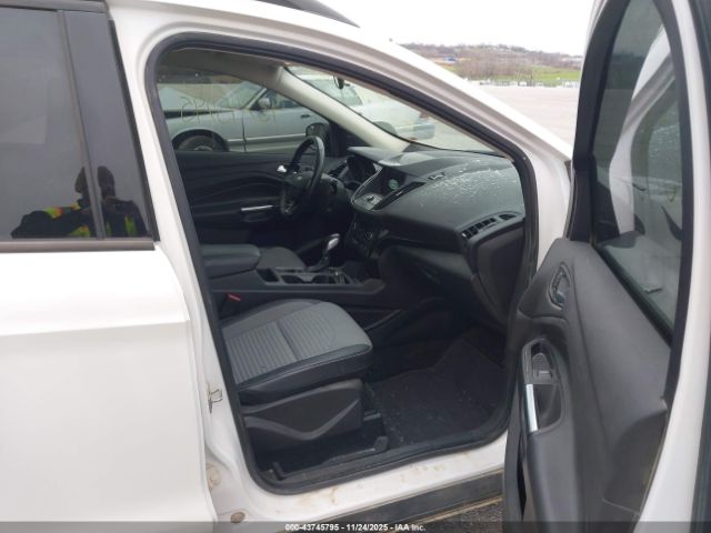 2019 FORD ESCAPE 1FMCU9GD4KUA63155 Photo 4