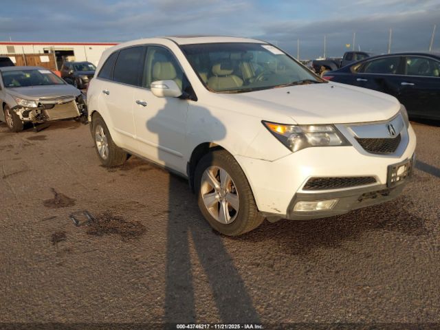 2011 ACURA MDX 2HNYD2H29BH505603