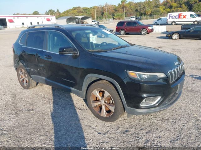 2019 JEEP CHEROKEE 1C4PJMDN6KD209537