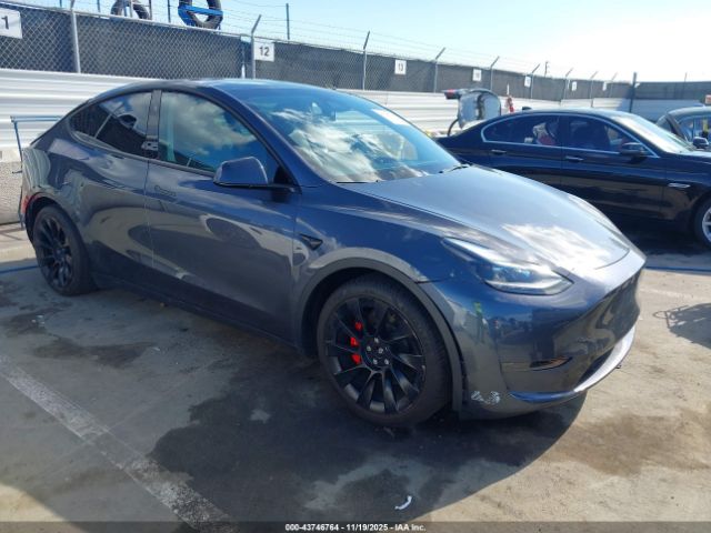 2023 TESLA MODEL Y 7SAYGDEF5PF795077