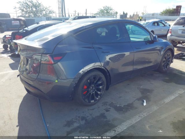 2023 TESLA MODEL Y 7SAYGDEF5PF795077 Photo 3