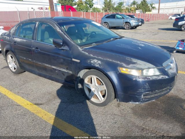 2004 ACURA TL 19UUA66294A055316