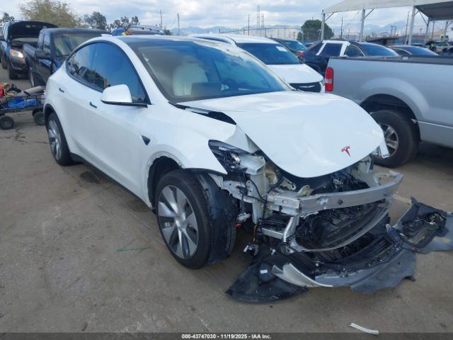 2024 TESLA MODEL Y 7SAYGDEE2RF063709 Photo 0