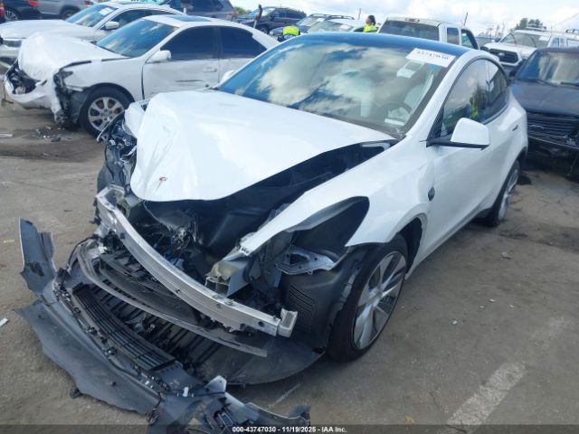 2024 TESLA MODEL Y 7SAYGDEE2RF063709 Photo 1