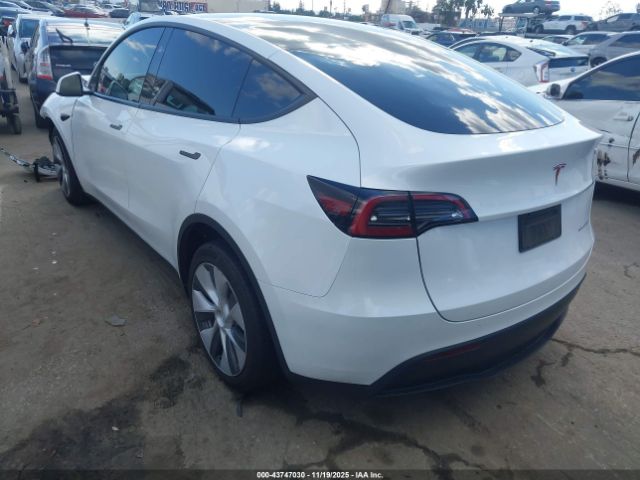 2024 TESLA MODEL Y 7SAYGDEE2RF063709 Photo 2