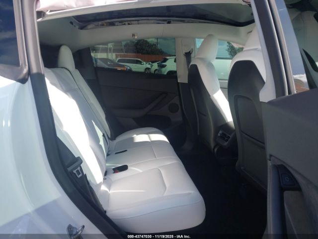 2024 TESLA MODEL Y 7SAYGDEE2RF063709 Photo 7
