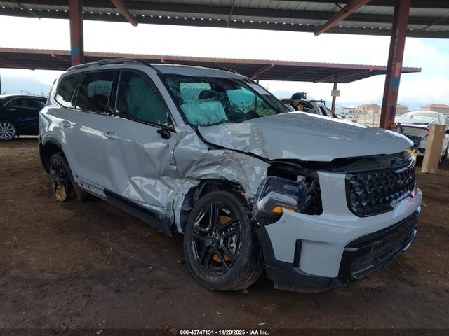 43747131 :رقم المزاد ، 5XYP3DGCXSG576480 vin ، 2025 Kia Telluride Ex X-line مزاد بيع