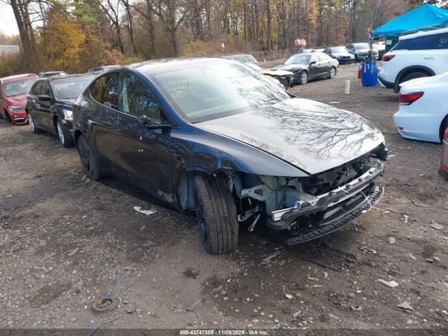 2026 TESLA MODEL Y 7SAYGDED3TF516606