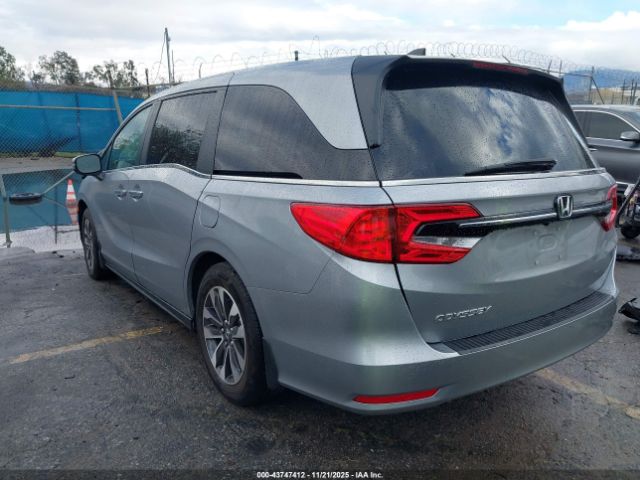 2024 HONDA ODYSSEY 5FNRL6H68RB052324 Photo 2