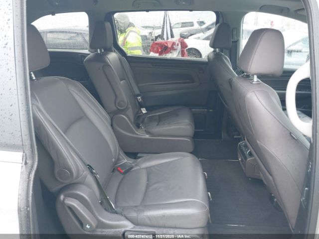 2024 HONDA ODYSSEY 5FNRL6H68RB052324 Photo 7