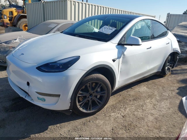Продаж на аукціоні авто 2025 Tesla Model Y Long Range Dual Motor Rear-wheel Drive, vin: 7SAYGDED5SA375064, номер лоту: 43747686