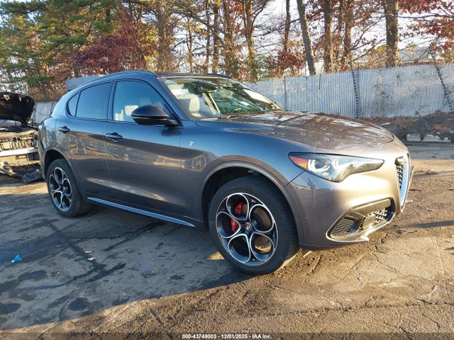 2024 ALFA ROMEO STELVIO ZASPAKBN7R7D70406