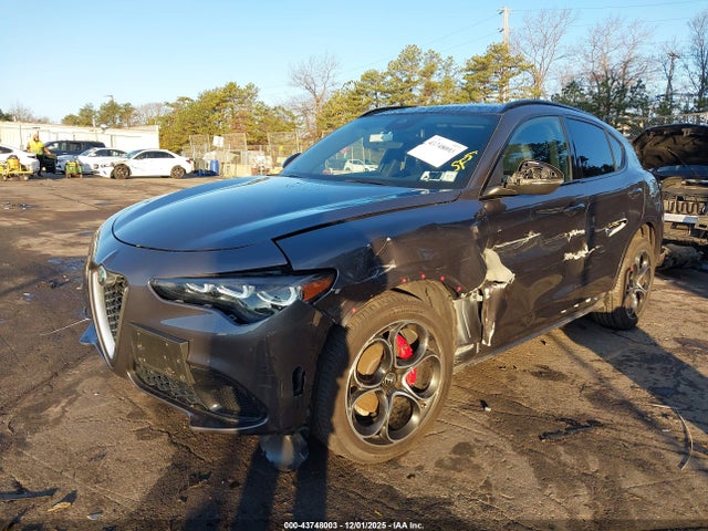 2024 ALFA ROMEO STELVIO ZASPAKBN7R7D70406 Photo 1