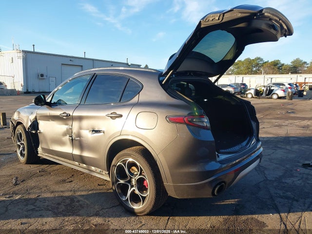 2024 ALFA ROMEO STELVIO ZASPAKBN7R7D70406 Photo 2
