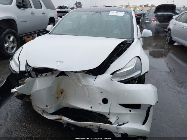 2019 TESLA MODEL 3 5YJ3E1EBXKF365773 Photo 5