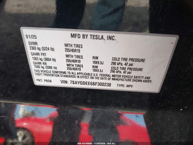2025 TESLA MODEL Y 7SAYGDEE6SF300238 Photo 8