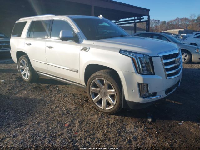 2017 CADILLAC ESCALADE 1GYS4CKJ0HR388059
