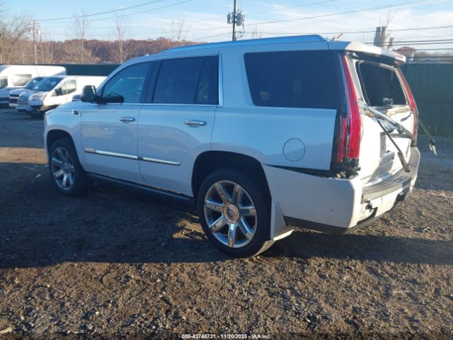 2017 CADILLAC ESCALADE 1GYS4CKJ0HR388059 Photo 2