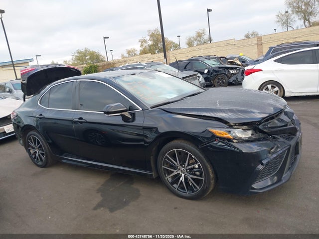 4T1T11AK0PU831576 Toyota CAMRY SE