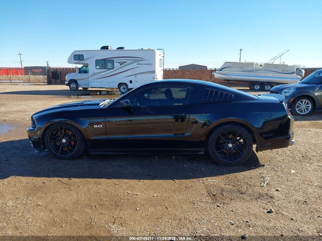 Ford Mustang Gt Premium 2014 1ZVBP8CF4E5221773 Image 15