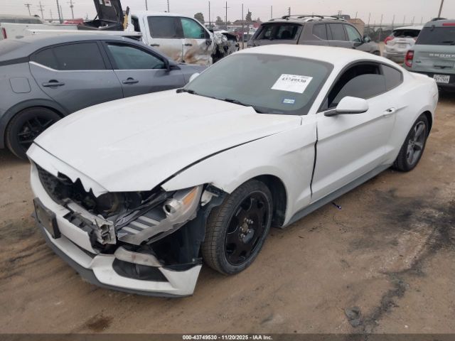 2017 FORD MUSTANG 1FA6P8TH6H5291226 Photo 1