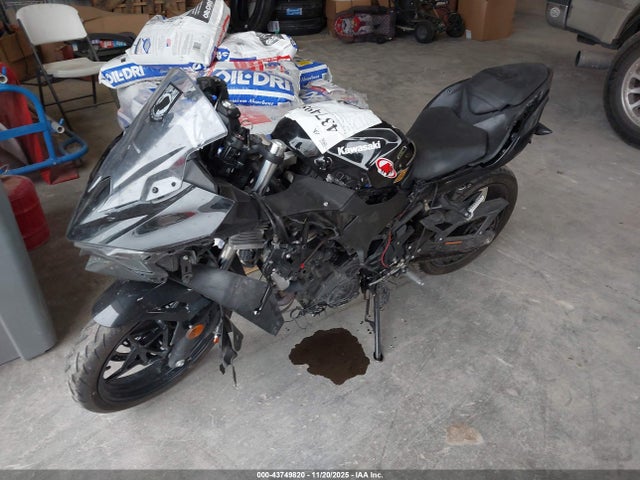 2024 KAWASAKI EX500 ML5EXGH10RDA31596 Photo 1