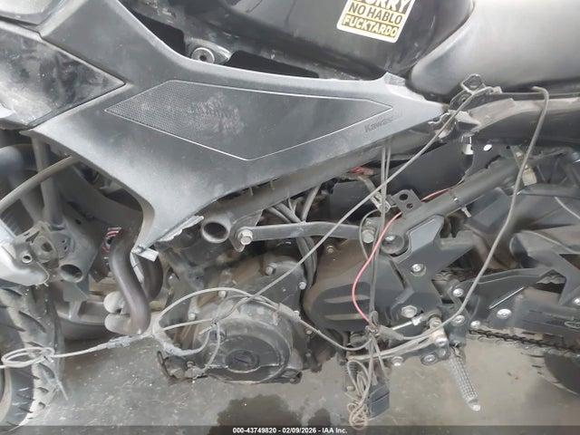 2024 KAWASAKI EX500 ML5EXGH10RDA31596 Photo 8