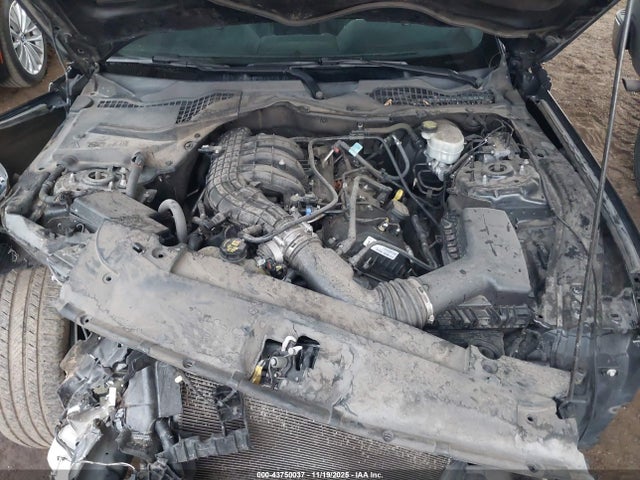 1FA6P8AM5H5312888 Ford Mustang V6