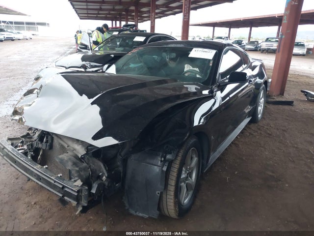 1FA6P8AM5H5312888 Ford Mustang V6