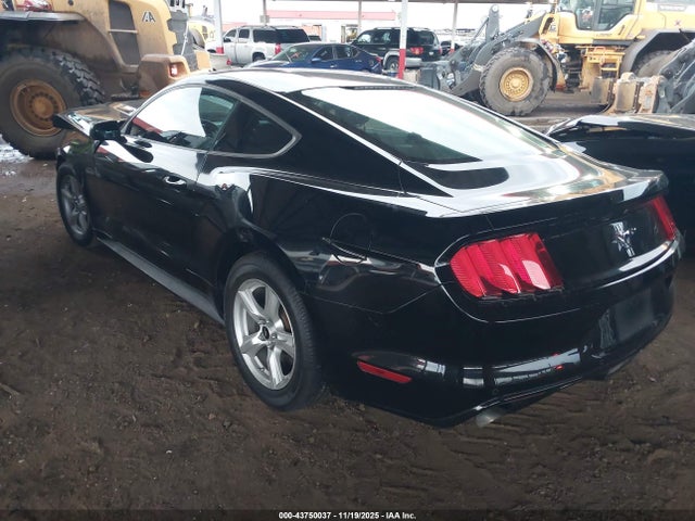 1FA6P8AM5H5312888 Ford Mustang V6