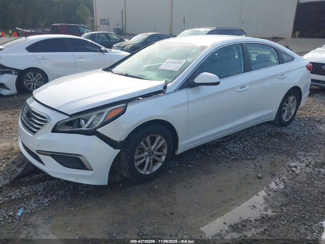 Продажа на аукционе авто 2016 Hyundai Sonata Se, vin: 5NPE24AF5GH387071, номер лота: 43750209