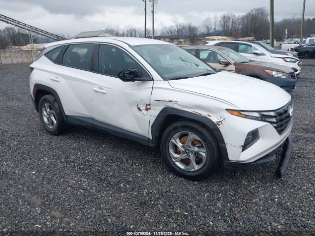 2023 HYUNDAI TUCSON 5NMJACAE2PH272458