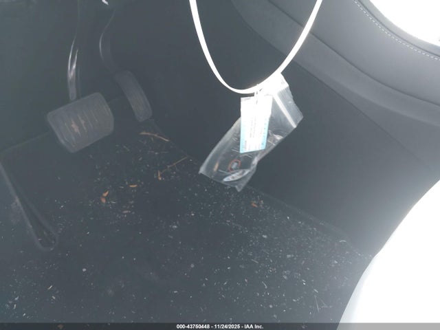 2024 TESLA MODEL Y 7SAYGDEE7RF171033 Photo 10