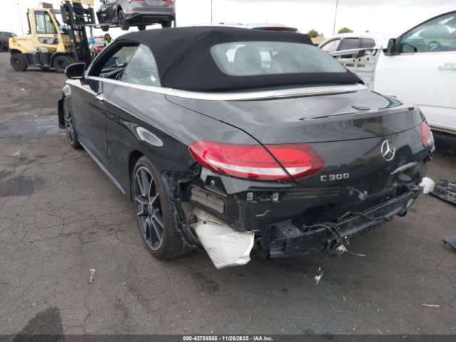 2019 MERCEDES-BENZ C 300 WDDWK8DB3KF784016 Photo 2