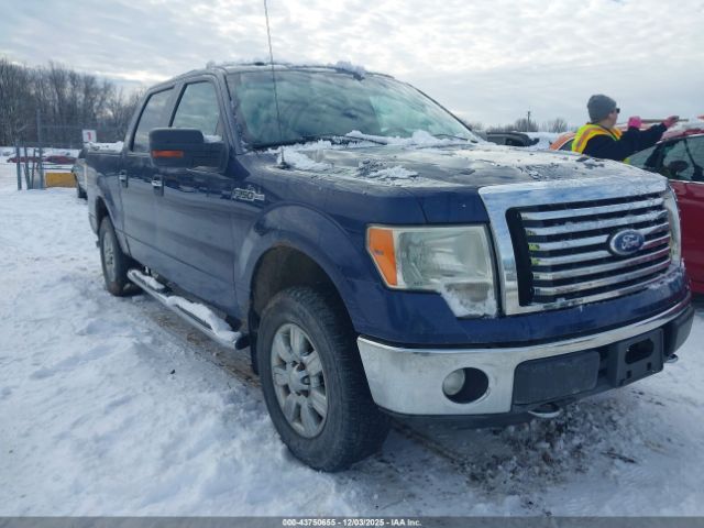 2011 FORD F-150 1FTFW1EF1BFC01837