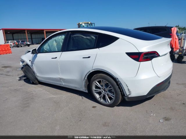 2023 TESLA MODEL Y 7SAYGDEE0PF624311 Photo 2