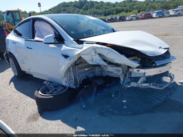 2023 TESLA MODEL Y 7SAYGDEE0PF624311 Photo 5