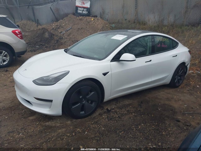 2023 TESLA MODEL 3 5YJ3E1EBXPF477819 Photo 1