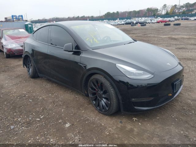 2023 TESLA MODEL Y 7SAYGDEF6PF784878