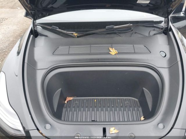 2023 TESLA MODEL Y 7SAYGDEF6PF784878 Photo 9